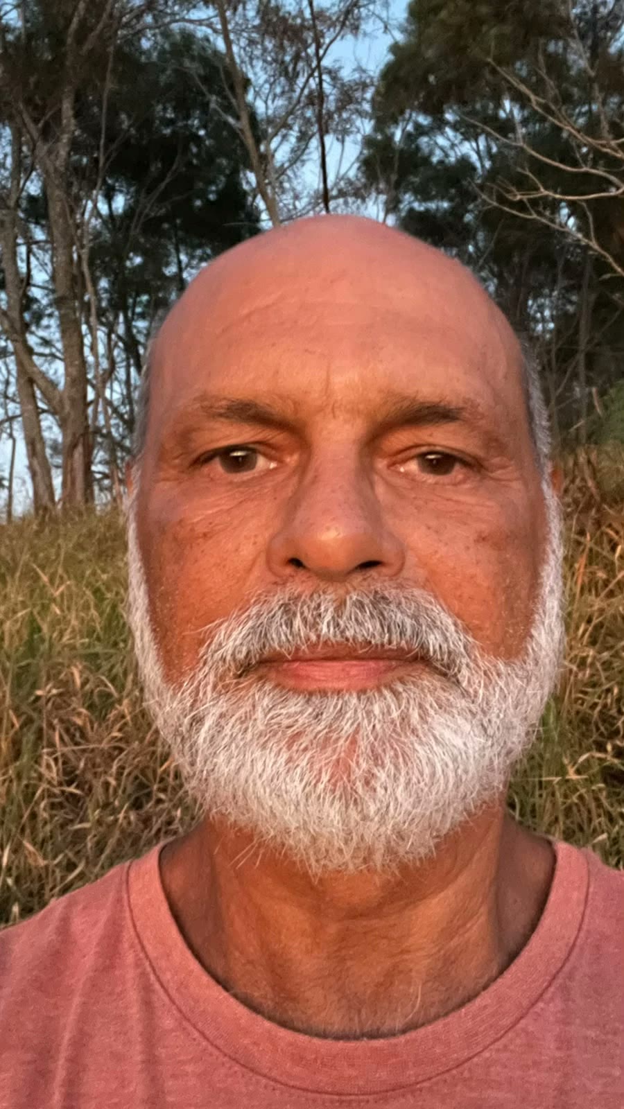 Vladimir Hersen, Curador de Evolução Humana